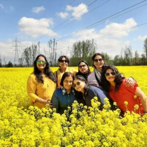 Kashmir Tulip Garden Trip