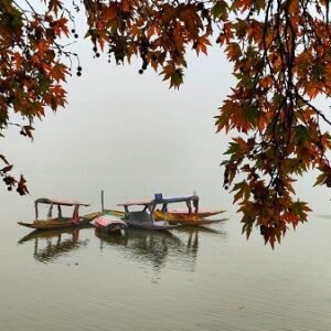 Autumn Special Kashmir Trip