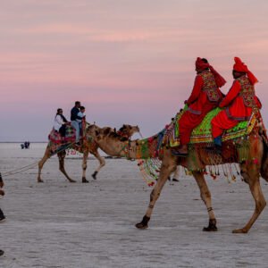 Rann of Kutch with Rani Ki Vav & Kaliya Dhrow