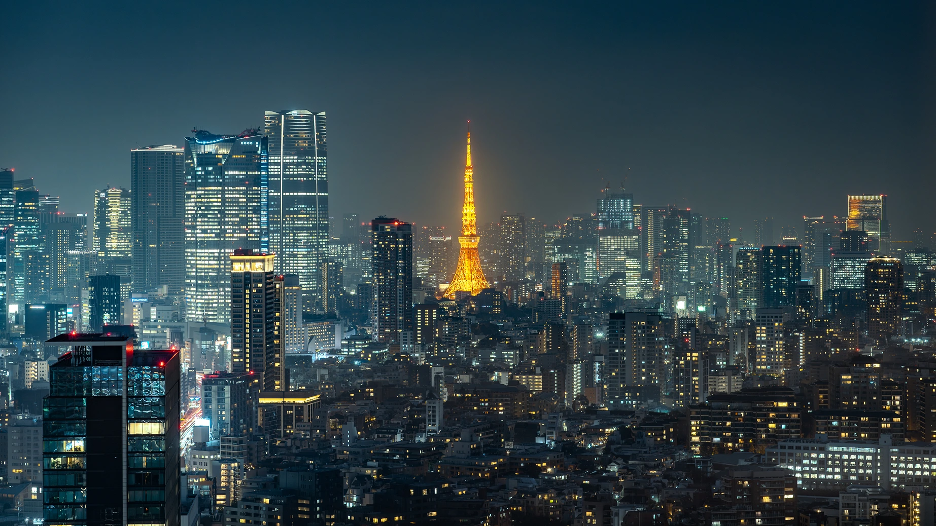 Japan Cherry Blossom Experience
